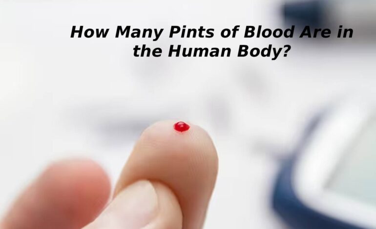 How Many Pints Of Blood Are In The Human Body?