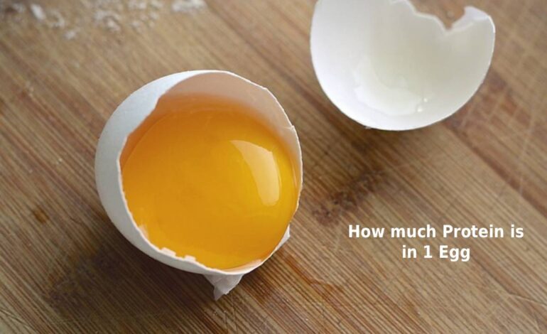 How much Protein is in 1 Egg