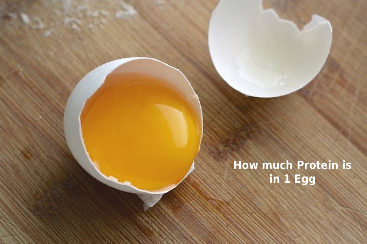 How much Protein is in 1 Egg