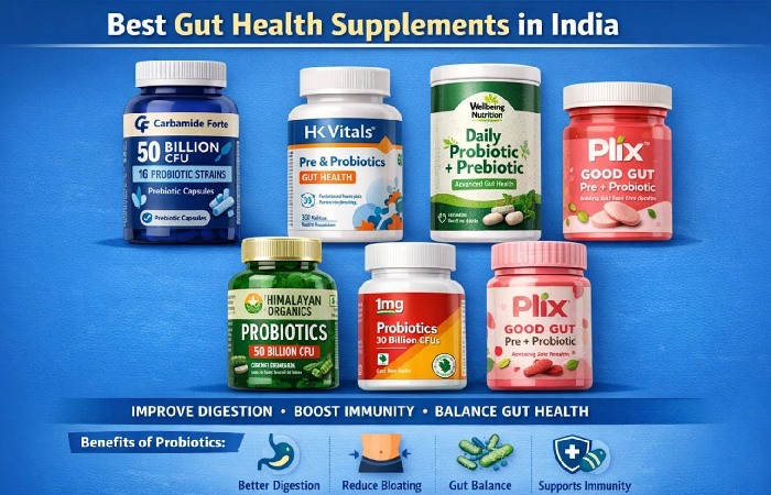 Best Gut Health Supplements in India