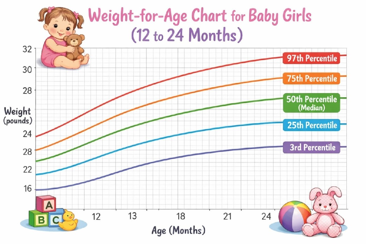 Baby Girl Growth Chart (12–24 Months) – Ideal Height & Weight