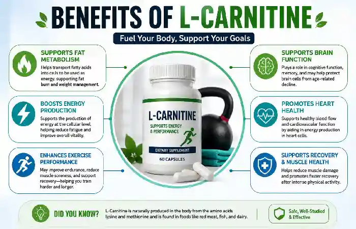 benefits of l-carnitine
