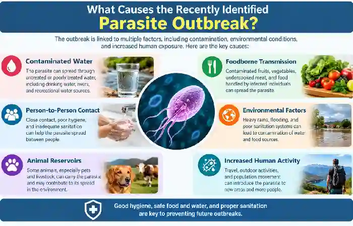 what causes the recenyly identified parasite outbreak